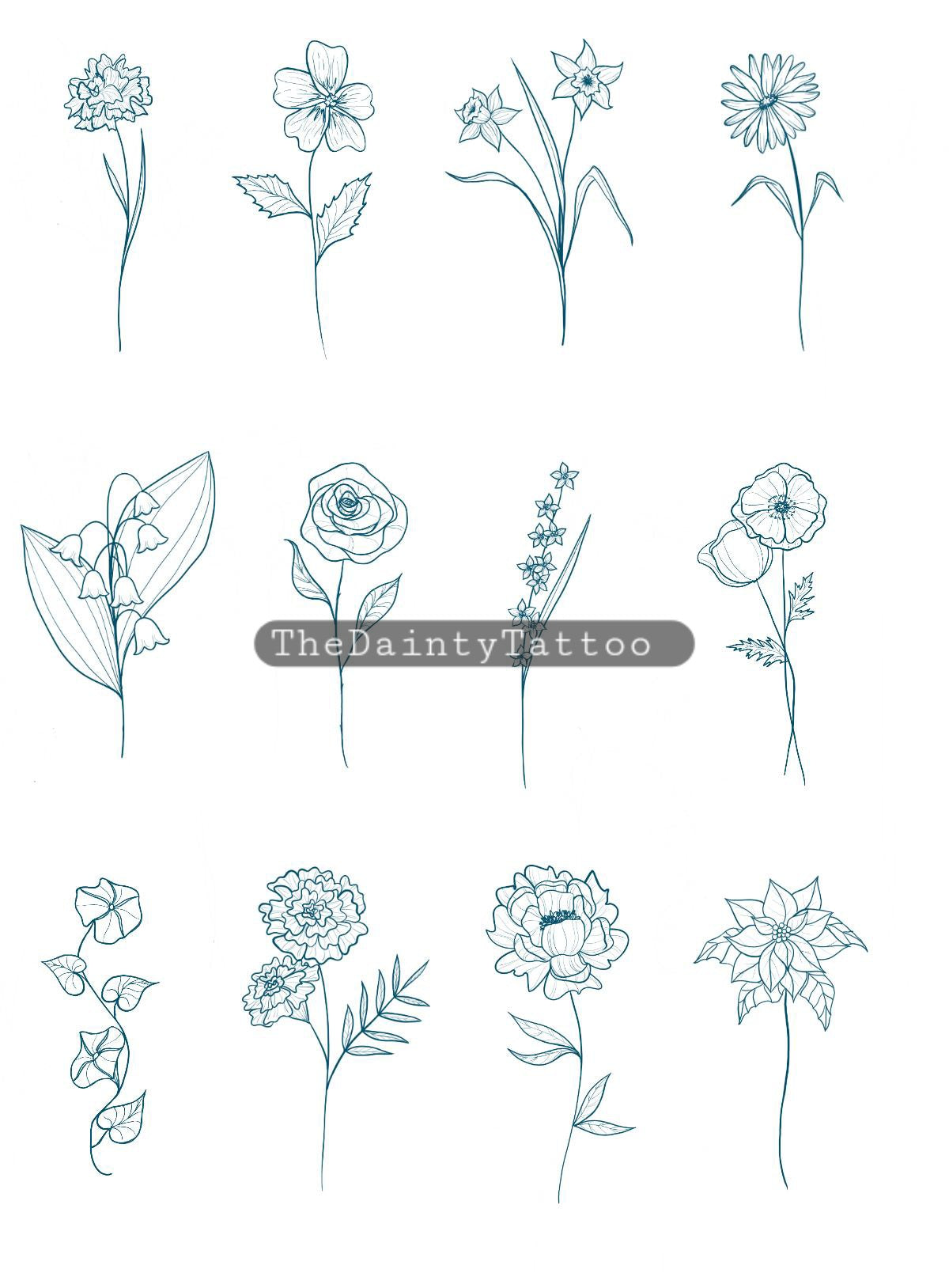 FLASH Birth Flower